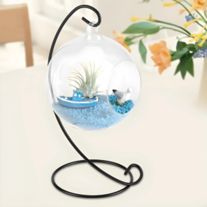 Metal Moon Shape Hanging Glass Vase for Air Plants and Succulents